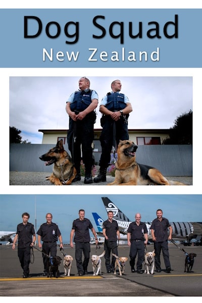 Dog Squad - Season 12