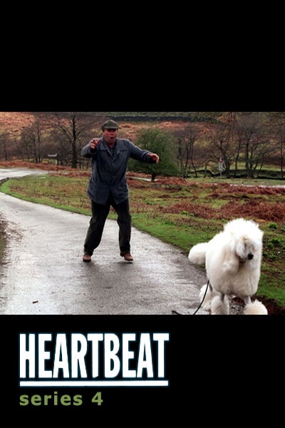Heartbeat - Season 4
