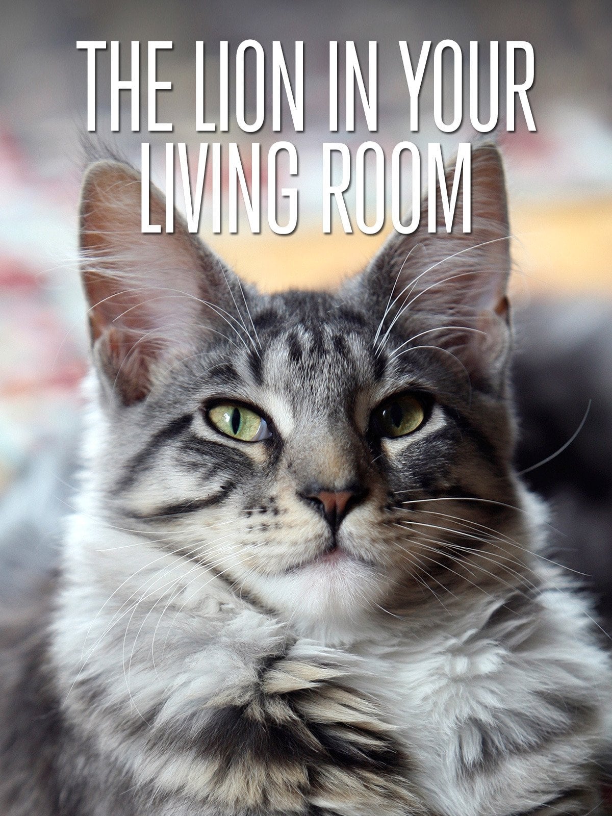 The Lion in Your Living Room