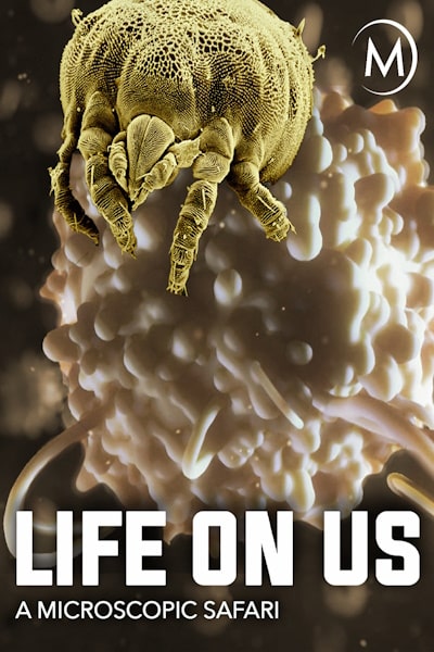 Life on Us: A Microscopic Safari