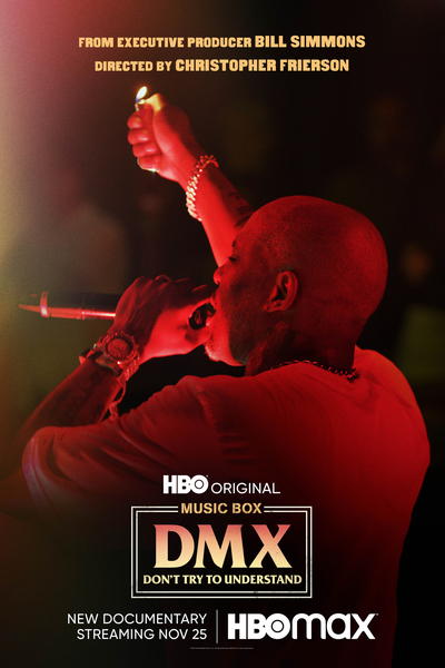 DMX: Dont Try to Understand