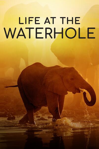 Life at the Waterhole - Season 1