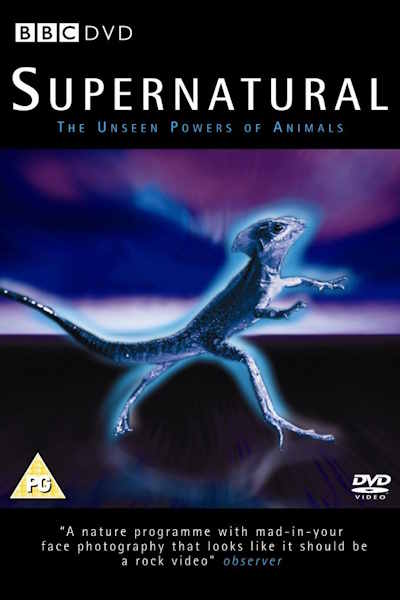 Supernatural: The Unseen Powers of Animals - Season 1