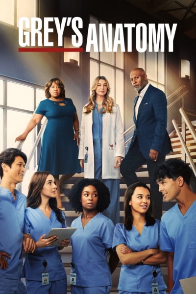 Greys Anatomy - Season 19