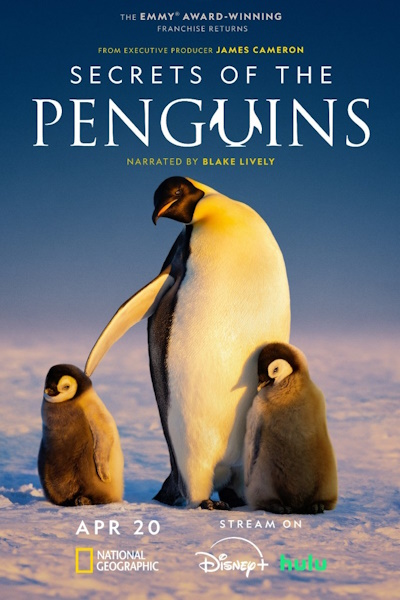 Secrets of the Penguins - Season 1