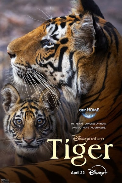 Tiger (2024)