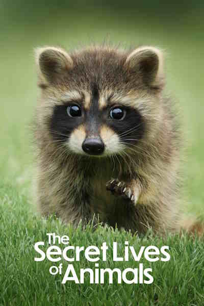 The Secret Lives of Animals - Season 1