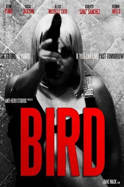 Bird&nbsp;(2020)