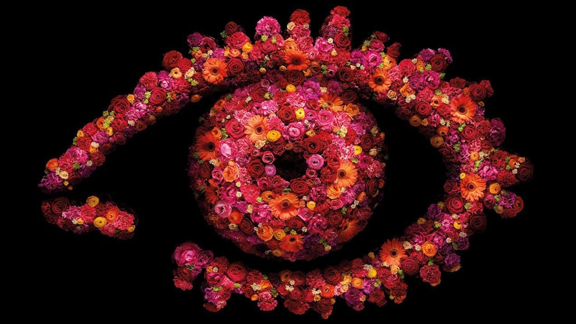 Season 7