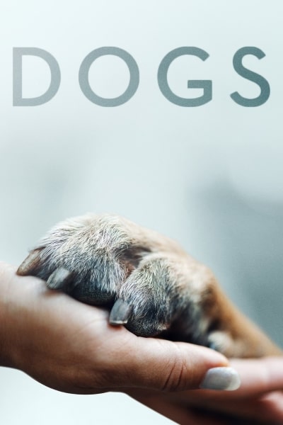 Dogs - Season 1