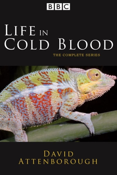 Life in Cold Blood - Season 1