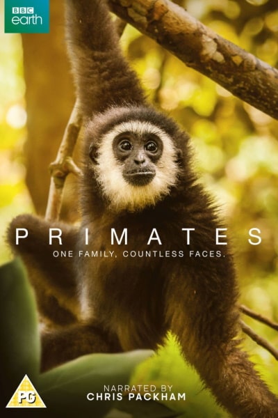 Primates - Season 1