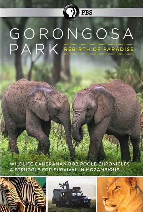 Gorongosa Park: Rebirth of Paradise - Season 1