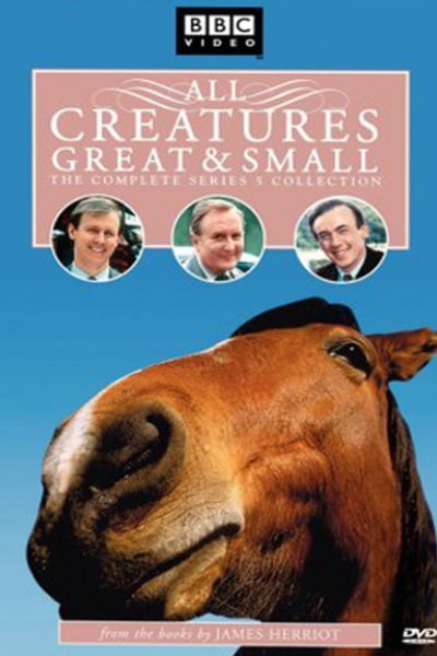 All Creatures Great and Small - Season 5 (1978)