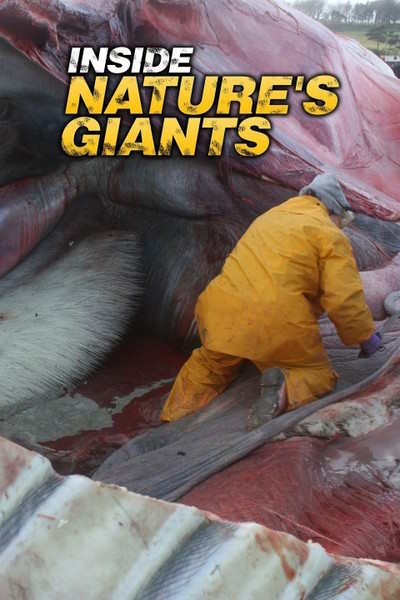Inside Natures Giants - Season 3
