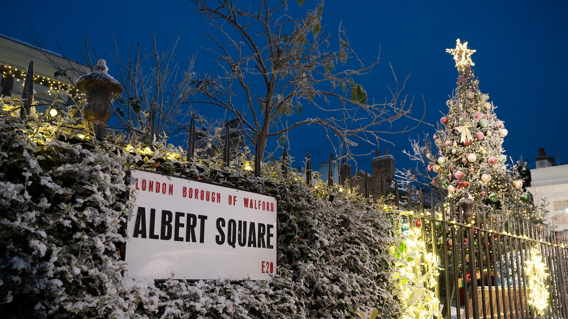 Season 41