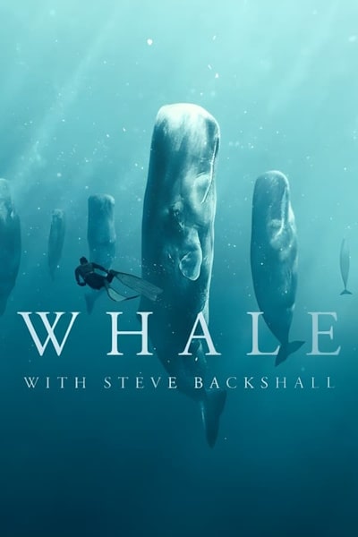 Whale with Steve Backshall - Season 1
