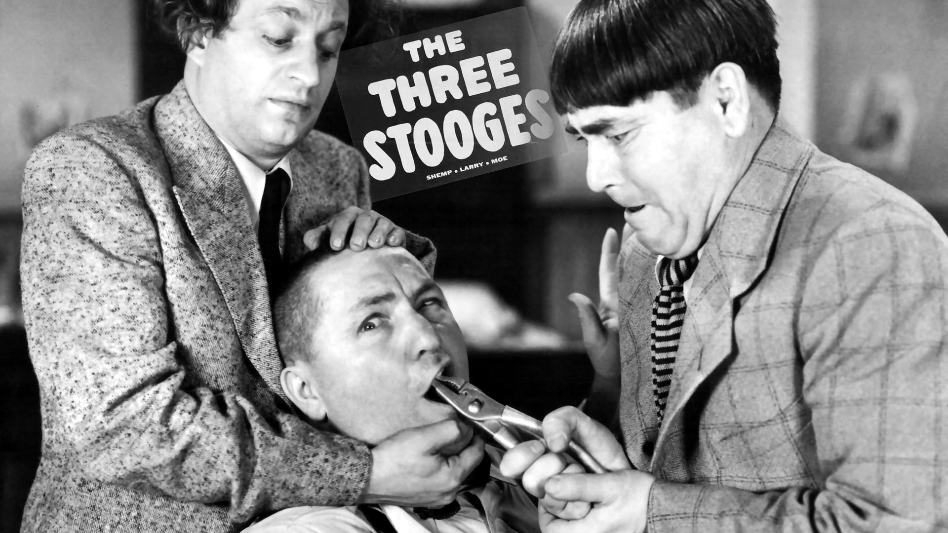Season 15